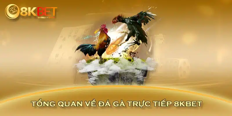 Tổng quan về đá gà trực tiếp 8KBET